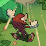 knuckles annoyed