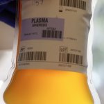 convalescent plasma