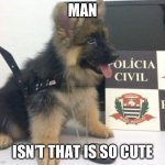 I CAN’T STOP LOOKING | MAN; ISN’T THAT IS SO CUTE | image tagged in police puppy dog | made w/ Imgflip meme maker