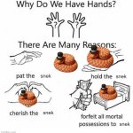 Why do we have hands? (all blank) | snek; snek; snek; snek | image tagged in why do we have hands all blank,snake,snakes,snek,cute,cute animals | made w/ Imgflip meme maker