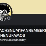 ZACHSNUM1FANREMBERRMEWHENUFAMOS on Discord