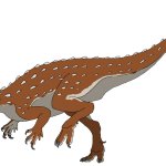 Scutellosaurus (Male)