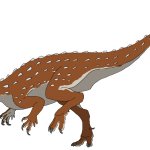 Scutellosaurus (Female)