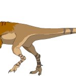 Coelurus (Male)