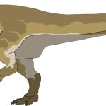 Camptosaurus (Male)