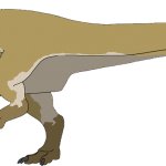 Camptosaurus (Female)