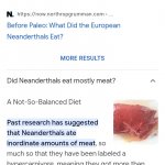 Neanderthsls where carnivores