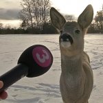Deer interviewed HD