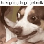 Milk dog | Me whenever Dad says he's going to go get milk | image tagged in gifs,nervous,dog | made w/ Imgflip video-to-gif maker