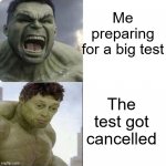Good job, Collegeboard | Me preparing
for a big test; The test got cancelled | image tagged in hulk less hulk,memes,tests | made w/ Imgflip meme maker