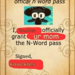 hehe | Knuckles; ur mom; knuckles | image tagged in thy official n word pass | made w/ Imgflip meme maker