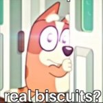 Real Biscuits?