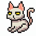 side-eye pixel cat