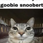 listen here you goobie snoobert