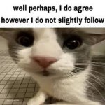 i do not slightly follow