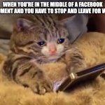 Sad cat phone | WHEN YOU'RE IN THE MIDDLE OF A FACEBOOK ARGUMENT AND YOU HAVE TO STOP AND LEAVE FOR WORK. | image tagged in sad cat phone,facebook | made w/ Imgflip meme maker