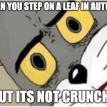 SO TRUE!!! | WHEN YOU STEP ON A LEAF IN AUTUMN; BUT ITS NOT CRUNCHY | image tagged in tom and jerry meme,funny memes | made w/ Imgflip meme maker