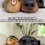 Punny duck | I CAN'T TAKE MY DOG TO THE POND ANYMORE BECAUSE THE DUCKS KEEP ATTACKING HIM. THAT'S WHAT I GET FOR BUYING A PURE BREAD DOG. | image tagged in bad pun duck and dog,dad joke,dog,cute animals | made w/ Imgflip meme maker