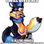 Hang in there, furries! | I WILL GIVE THIS; TO ALL THE FURRIES EXPERIENCING HATE. HANG IN THERE | image tagged in cute,kindness | made w/ Imgflip meme maker