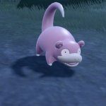 slowpoke