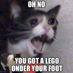 oh no | OH NO; YOU GOT A LEGO ONDER YOUR FOOT | image tagged in crying cat | made w/ Imgflip meme maker