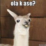 llama ola k ase