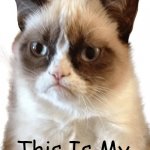 Grumpy Cat Truth | This Is My; Happy Face | image tagged in grumpy cat,happy,attitude,happy face,optimist,pessimist | made w/ Imgflip meme maker