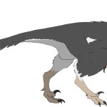 Stenonychosaurus (Female)