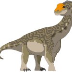 Camarasaurus (Male)