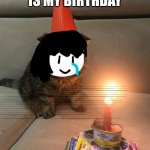 :,) | TOMORROW IS MY BIRTHDAY | image tagged in sad birthday cat,sad,birthday,lonely,random tag i decided to put,another random tag i decided to put | made w/ Imgflip meme maker