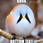 Burb | BURB; BOTTOM TEXT | image tagged in bearded reedling,wholesome,birb,cute,sfw | made w/ Imgflip meme maker