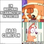 youtube be like | I'M WATCHING RELAXING STUFF ON YOUTUBE; AN AD COMES ON | image tagged in real biscuits | made w/ Imgflip meme maker