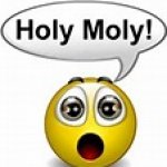 HOLY MOLY emoji
