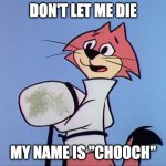 Preach It, Forgotten Sixties Cartoon Cat | DON'T LET ME DIE; MY NAME IS "CHOOCH" | image tagged in don't let chooch die | made w/ Imgflip meme maker