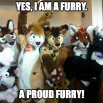 Furries | YES, I AM A FURRY. A PROUD FURRY! | image tagged in furries | made w/ Imgflip meme maker