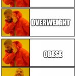 Drake 4 panel | FAT; OVERWEIGHT; OBESE; HORIZONTALLY TALL | image tagged in drake 4 panel yes no approval disapprove | made w/ Imgflip meme maker