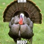 Turkey | UMM; MOO? | image tagged in memes,turkey | made w/ Imgflip meme maker