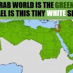 the arab world vs israel