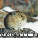 What's the piece of che*se? | WHAT'S THE PIECE OF CHE*SE? | image tagged in tseyvo,cheese,pika | made w/ Imgflip meme maker