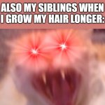 This says it all - look u can't just tell people u like them just the way they are and then just force them to change it for u | MY BROTHERS: WE DON'T CARE HOW YOU DO YOUR HAIR WE LIKE YOU JUST HOW YOU ARE; ALSO MY SIBLINGS WHEN I GROW MY HAIR LONGER: | image tagged in angry cat,scumbag families,siblings,brothers,long hair,relatable memes | made w/ Imgflip meme maker