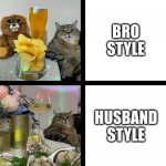 Bro style vs Husband style | BRO STYLE; HUSBAND STYLE | image tagged in stepan cat,bro,husband,wife,cat,food | made w/ Imgflip meme maker