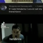 if i saw herobrine I would call my friend kevin meme