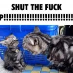 SHUT THE FUCK UP!!!!!!!!!!!!! meme
