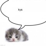 cat kys