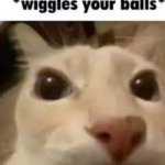 wiggles your balls