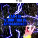 *sigh* i dislike how this is true | me: opens the front door by 0.001 inches
my cat:; I AM THE STORM THAT IS APPROACHING!! | image tagged in i am the storm that is approaching,cat | made w/ Imgflip meme maker