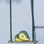 Cyndaquill on the swing