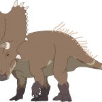 Chasmosaurus (Female)