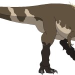 Gorgosaurus (Male)