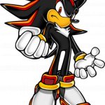 Shadow The Hedgehog